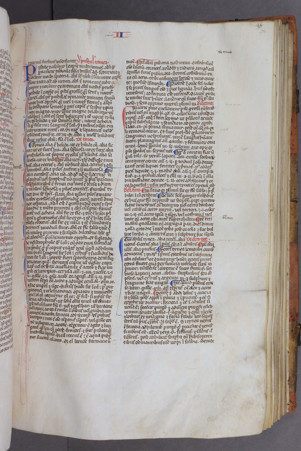 Folio 36 recto